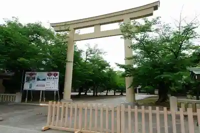 大阪護國神社の鳥居