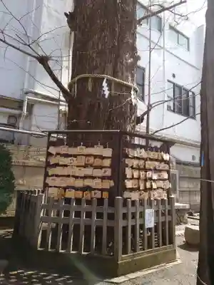 天祖神社の絵馬