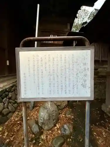 住吉神社(東京都)
