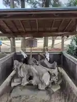 薄葉温泉神社(栃木県)