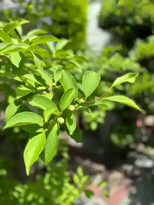 観音寺(兵庫県)