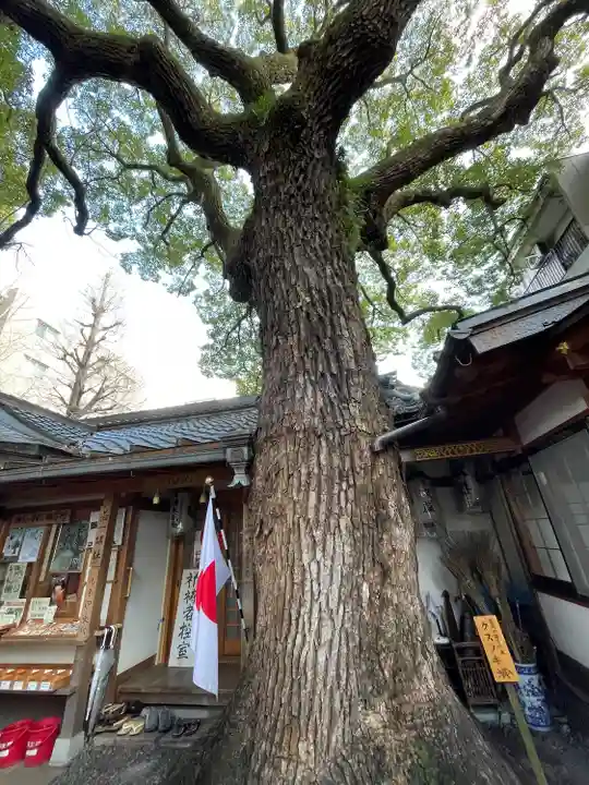 若一神社(京都府)