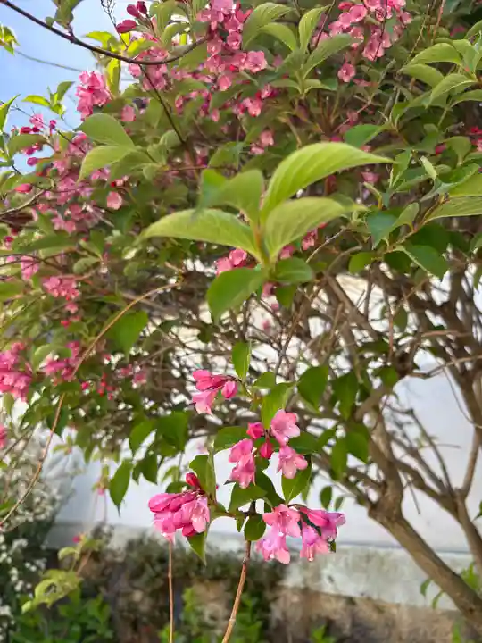 時光寺(兵庫県)