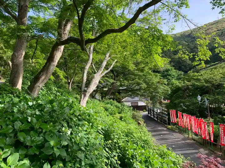 普門寺(切り絵御朱印発祥の寺)(愛知県)