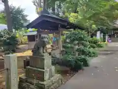 馬場氷川神社の狛犬