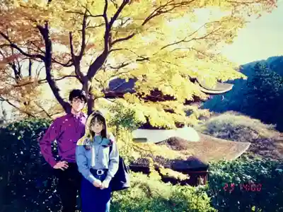 善峯寺(京都府)