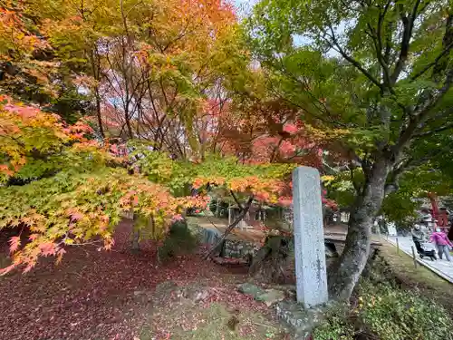 丹生都比売神社(和歌山県)