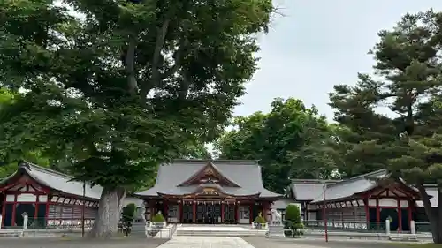 北海道護國神社の本殿・本堂