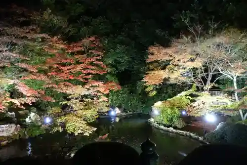 隨心院（随心院）の庭園