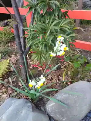 愛宕神社(東京都)