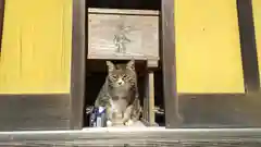 縣主神社の動物