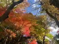 真珠院(神峯山寺塔頭)(大阪府)