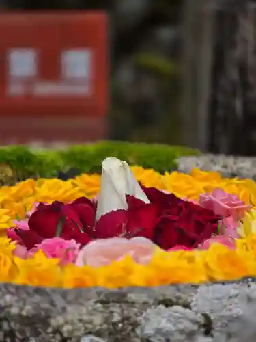 丹生都比売神社(和歌山県)
