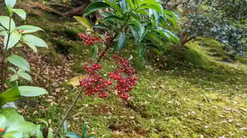 霊鑑寺門跡(京都府)