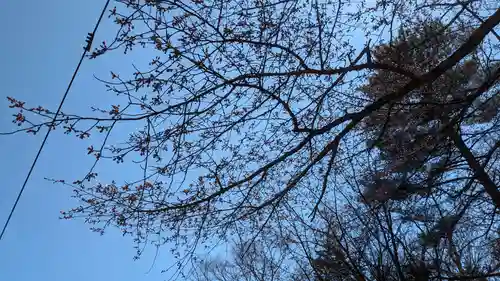 豊受神社の自然