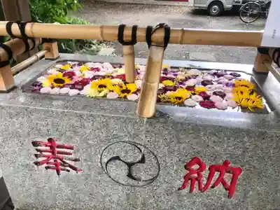 自由が丘熊野神社の手水舎