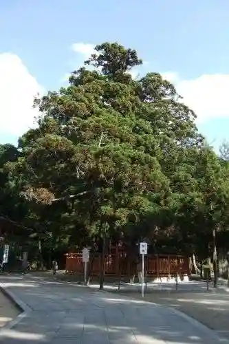 香椎宮(福岡県)