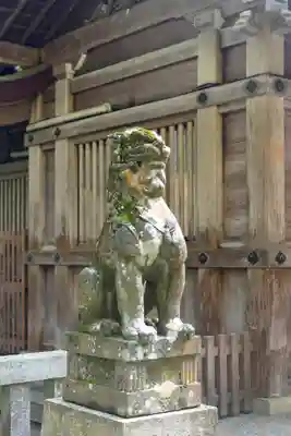 彌彦神社の狛犬