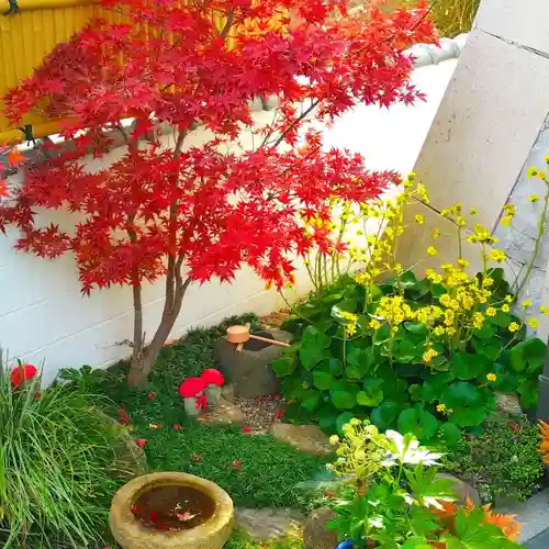 寿量山　速成寺(奈良県)