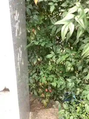 清峯院のその他建物