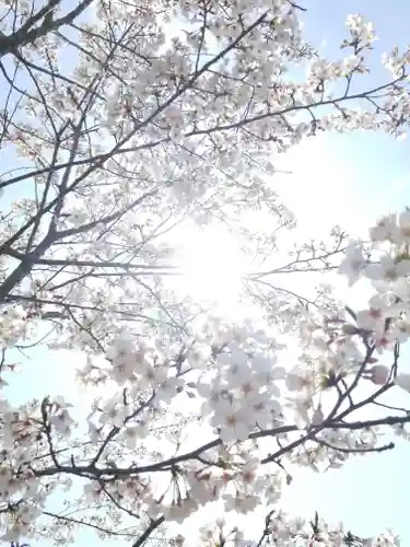 大生神社の自然