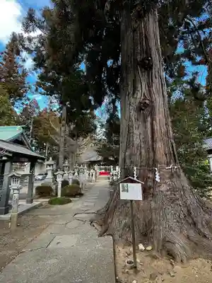 涼ケ岡八幡神社(福島県)