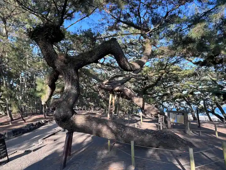 御穂神社(静岡県)