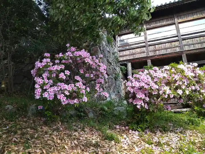 阿智神社の自然