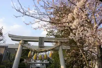 上青木氷川神社の鳥居