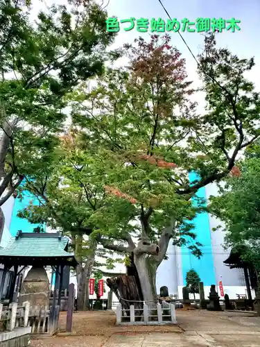 阿邪訶根神社(福島県)