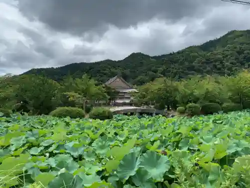 天龍寺の自然