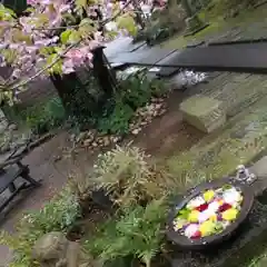 かっぱの寺 栖足寺の自然