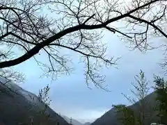 山家神社の自然