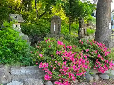 妻科神社(長野県)