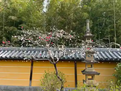 高徳院の{uncategorized: "未分類", other: "その他", undefined: "問題あり", building: "その他建物", grave: "お墓", sacred_gate: "鳥居", guardian: "狛犬", statue: "像", buddha: "仏像", history: "歴史", nature: "自然", garden: "庭園", animal: "動物", pagoda: "塔", temizu: "手水舎", mountain_gate: "山門・神門", sanctuary: "本殿・本堂", subordinate: "末社・摂社", art: "芸術", scenery: "景色", jizo: "地蔵", ema: "絵馬", goshuin: "御朱印", omikuji: "おみくじ", items: "授与品その他", amulet: "お守り", goshuincho: "御朱印帳", eats: "食事", festival: "お祭り", votive_dance: "神楽", shichigosan: "七五三参", wedding: "結婚式", experience: "体験その他", initially: "初詣", around: "周辺", anti_infection: "感染症対策"}