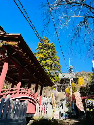 筑波山神社(茨城県)