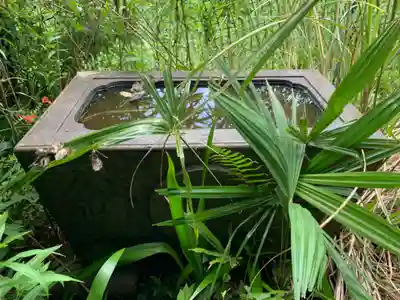 大山祇神社の手水舎