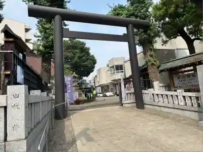 高円寺氷川神社(東京都)