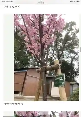 富部神社(愛知県)