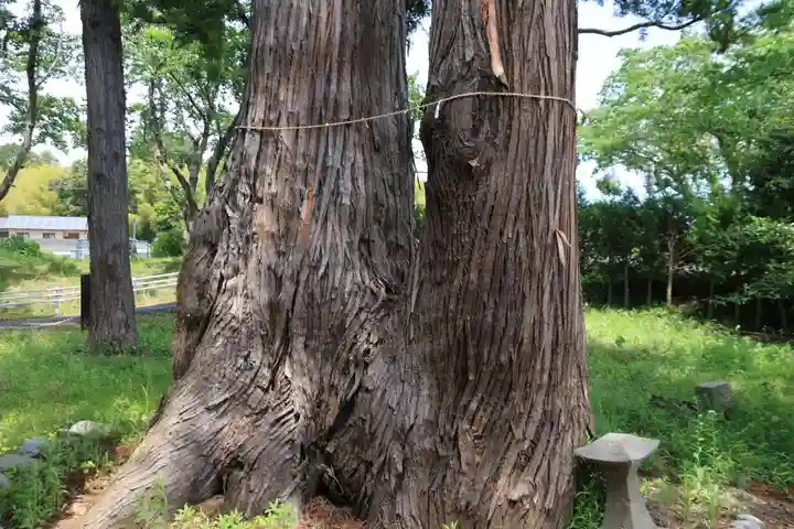 貴船神社の自然