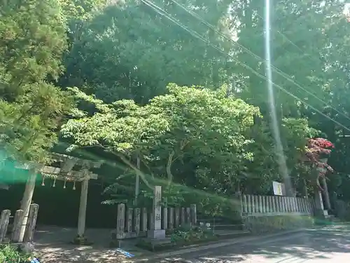 柴神社の建物その他