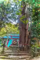 磐椅神社(福島県)