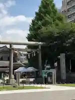 浅草神社の鳥居