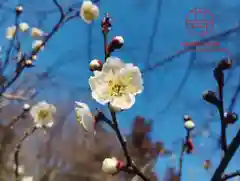 立志神社(滋賀県)