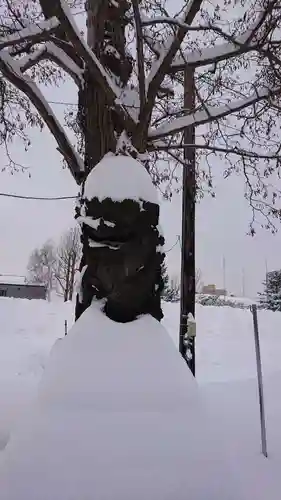 篠路神社の自然