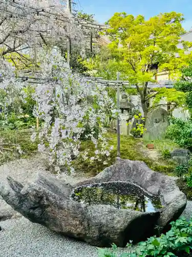 西住院(京都府)