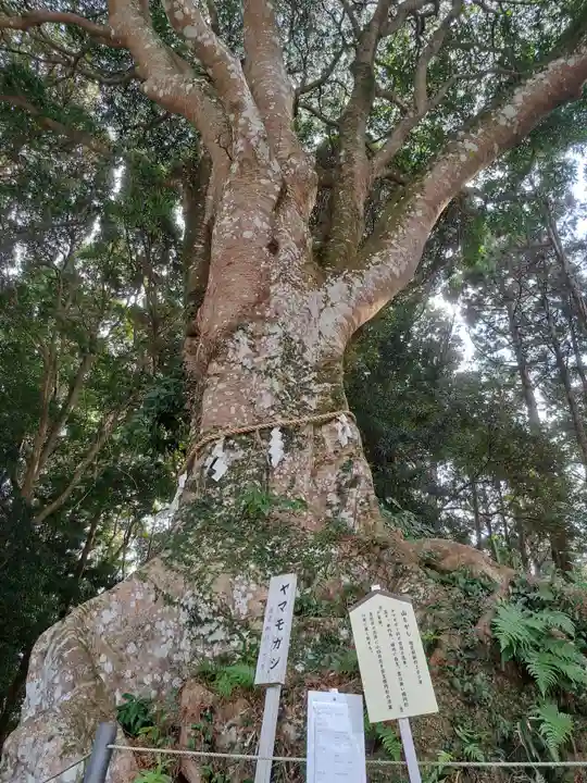 神明神社(相差町)(三重県)