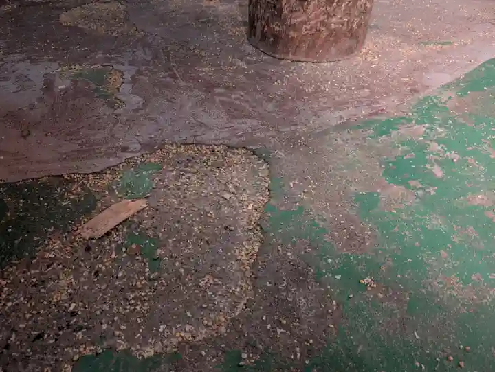 貧乏神神社諏訪分社(長野県)