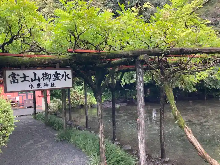 富士山本宮浅間大社(静岡県)