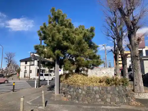 胎蔵界大日如来坐像(神奈川県)